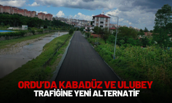 Ordu’da Kabadüz ve Ulubey Trafiğine Yeni Alternatif: Yol Sıcak Asfaltla Yenilendi