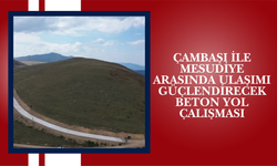 Çambaşı ile Mesudiye Arasında Ulaşımı Güçlendirecek Beton Yol Çalışması