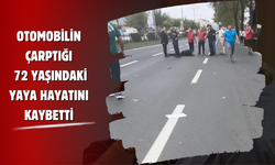 Ordu’da Feci Kaza: Otomobilin Çarptığı 72 Yaşındaki Yaya Hayatını Kaybetti