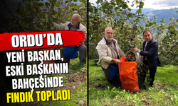 Yeni Başkan, Eski Başkanın Bahçesinde Fındık Topladı