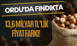 Ordu’da Fındıkta 13,6 Milyar TL’lik Fiyat Farkı!
