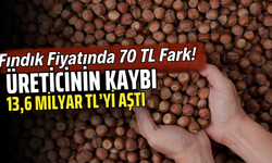 Ordu’da Fındık Fiyatında 70 TL Fark! Üreticinin Kaybı 13,6 Milyar TL’yi Aştı