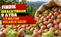 Fındık İhracatından 9 Ayda 1,9 Milyar Dolarlık Gelir!