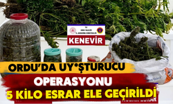 Ordu’da Uy*şturucu Operasyonu: 5 Kilo Esrar Ele Geçirildi