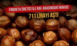 Fındıkta Üretici ile Raf Arasındaki Makas 711 Lirayı Aştı
