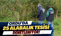 Ordu’da 25 Alabalık Tesisi Denetleniyor! Gürgentepe’de Yeni Yatırım Gündemde
