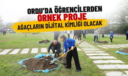 Ordu’da Öğrencilerden Örnek Proje: Ağaçların Dijital Kimliği Olacak