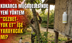 Kokarca Mücadelesinde Yeni Yöntem: “Cezbet-Yok Et” İşe Yarayacak mı?