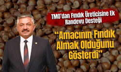 TMO’dan Fındık Üreticisine Ek Randevu Desteği: “Amacının Fındık Almak Olduğunu Gösterdi”