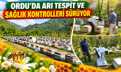 ORDU’DA ARI TESPİT VE SAĞLIK KONTROLLERİ SÜRÜYOR