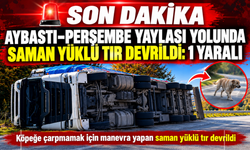 AYBASTI–PERŞEMBE YAYLASI YOLUNDA SAMAN YÜKLÜ TIR DEVRİLDİ: 1 YARALI