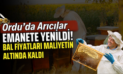 Ordu’da Arıcılar Emanete Yenildi! Bal Fiyatları Maliyetin Altında Kaldı