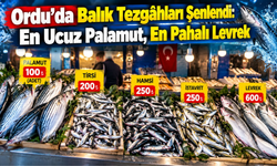 Ordu’da Balık Tezgâhları Şenlendi: En Ucuz Palamut, En Pahalı Levrek