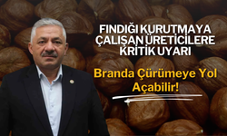 Fındığı Kurutmaya Çalışan Üreticilere Kritik Uyarı: Branda Çürümeye Yol Açabilir!