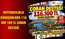 Hayvancılıkla Uğraşanlara 116 Bin 100 TL Çoban Desteği