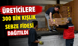 Üreticilere 300 Bin Kışlık Sebze Fidesi Dağıtıldı