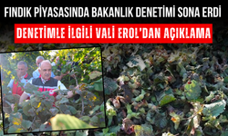 Fındık Piyasasında Bakanlık Denetimi Sona Erdi! Denetimle İlgili Vali Erol’dan Açıklama