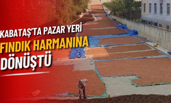 Kabataş’ta Pazar Yeri Fındık Harmanına Dönüştü