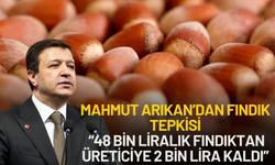 Mahmut Arıkan’dan Fındık Tepkisi: “48 Bin Liralık Fındıktan Üreticiye 2 Bin Lira Kaldı”