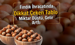 Fındık İhracatında Dikkat Çeken Tablo: Miktar Düştü, Gelir Arttı