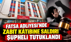 Fatsa Adliyesi’nde Zabıt Kâtibine Saldırı: Şüpheli Tutuklandı