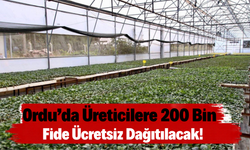 Ordu’da Üreticilere 200 Bin Fide Ücretsiz Dağıtılacak!