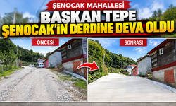 BAŞKAN TEPE ŞENOCAK'IN DERDINE DEVA OLDU