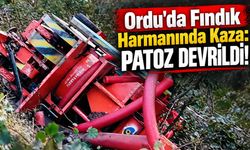 Ordu’da Fındık Patozu Devrildi!