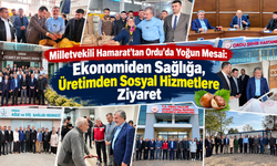Milletvekili Hamarat’tan Ordu’da Yoğun Mesai: Ekonomiden Sağlığa, Üretimden Sosyal Hizmetlere Ziyaret