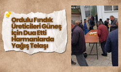 Ordulu Fındık Üreticileri Güneş İçin Dua Etti: Harmanlarda Yağış Telaşı