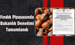 Fındık Piyasasında Bakanlık Denetimi Tamamlandı