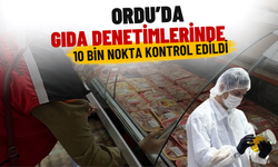 Ordu’da Gıda Denetimlerinde 10 Bin Nokta Kontrol Edildi