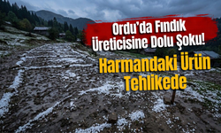 Ordu’da Fındık Üreticisine Dolu Şoku! Harmandaki Ürün Tehlikede
