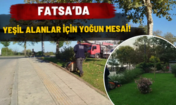 Fatsa’da Yeşil Alanlar İçin Yoğun Mesai!