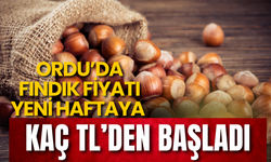 Ordu’da Fındık Fiyatı Yeni Haftaya Kaç TL’den Başladı