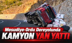Mesudiye-Ordu Dereyolunda Kamyon Yan Yattı