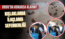 Ordu’da Kokarca Alarmı! Kışlaklarda İlaçlama Seferberliği