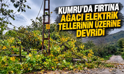 Kumru’da Fırtına Ağacı Elektrik Tellerinin Üzerine Devirdi