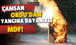 Çamsan Ordu’dan Yangına Dayanıklı MDF! Normal MDF 8 Dakikada Tutuştu