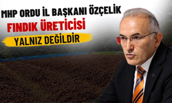 MHP Ordu İl Başkanı Özçelik: Fındık Üreticisi Yalnız Değildir