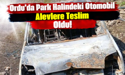 Ordu’da Park Halindeki Otomobil Alevlere Teslim Oldu!