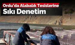 Ordu’da Alabalık Tesislerine Sıkı Denetim