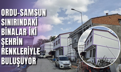 Ordu-Samsun Sınırındaki Binalar İki Şehrin Renkleriyle Buluşuyor