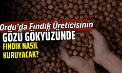 Ordu’da Fındık Üreticisinin Gözü Gökyüzünde: Fındık Nasıl Kuruyacak?