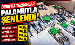 Ordu’da Balık Tezgâhlarında Güncel Fiyatlar: Palamut 60 TL!
