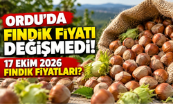 Ordu’da Fındık Fiyatı Değişmedi! 17 Ekim 2026 Fındık Fiyatları?