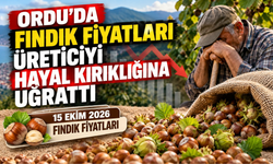 Ordu’da Fındık Fiyatları Üreticiyi Hayal Kırıklığına Uğrattı