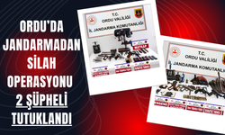 Ordu’da Jandarmadan Silah Operasyonu: 2 Şüpheli Tutuklandı