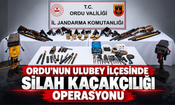 ORDU’NUN ULUBEY İLÇESİNDE SİLAH KAÇAKÇILIĞI OPERASYONU