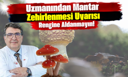 Uzmanından Mantar Zehirlenmesi Uyarısı: Rengine Aldanmayın!